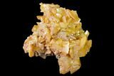 Orange Wulfenite Crystal Cluster - La Morita Mine, Mexico #170305-1